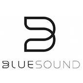 Blue Sound Logo home audio